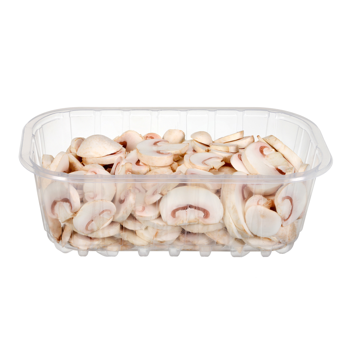 pieczarka cięta
