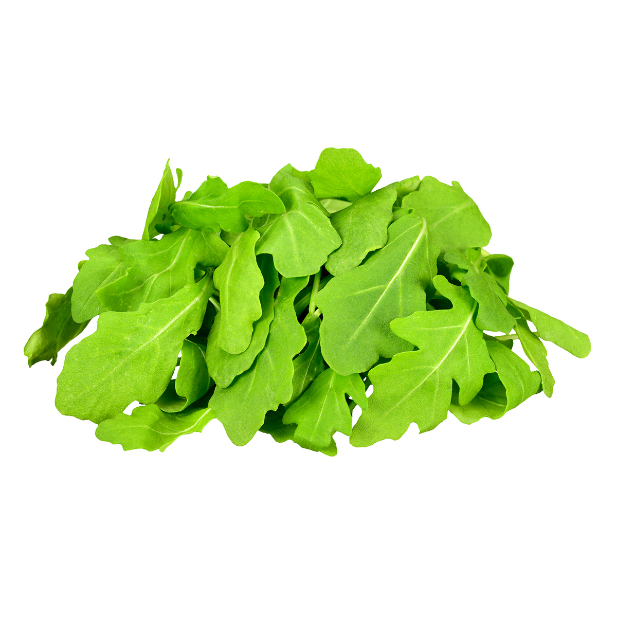 rukola